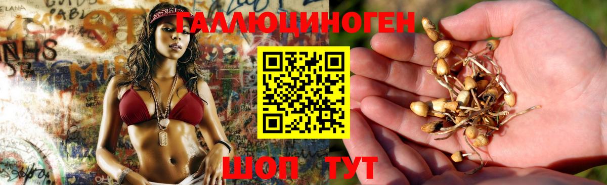 Нефтеюганск  Псилоцибиновые грибы прущие грибы  Вход с VPN 